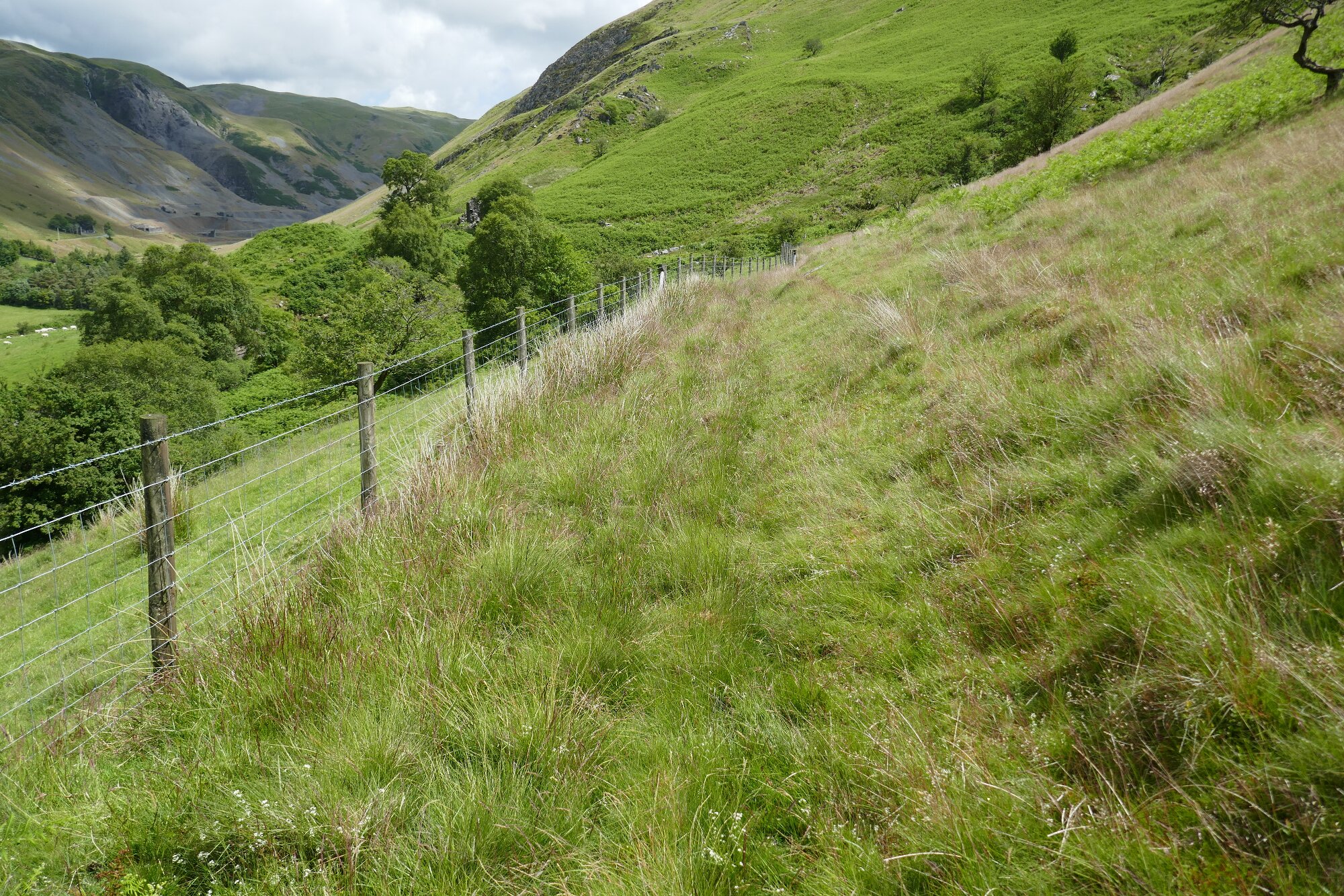 RachelSeabrook.net | Wild Walking | Cwmystwyth | pic16